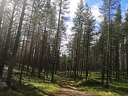 Kalevalsky NP