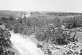 Road leading to Al-Qubab, 1948