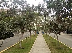 Main Square of Independencia