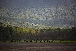 Photograph of Alendan Lak, which is drying up