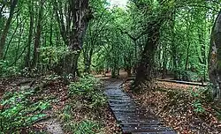 Alangdareh Park