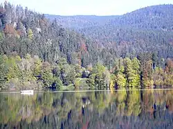 The Albbecken below St. Blasien