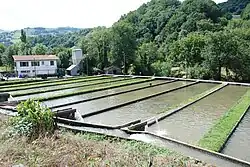 Colour photograph of several rectangular water-filled basins fed by a canal. In the background, a forested slope.