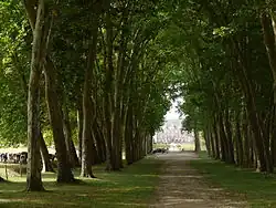 Allée to the castle.