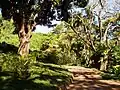 Garden walk