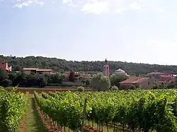 View of Alonte