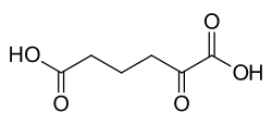 2D representation of the chemical structure of 2-Oxoadipic acid .