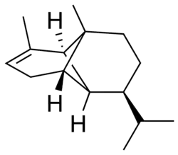 α-copaene