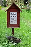 A cat belonging to The Sisters of the Holy Spirit walks in front of the sign of the convent