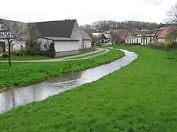 The river Altenau Enten