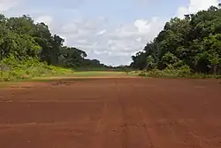 A dirt road between green trees under a cloudy sky.