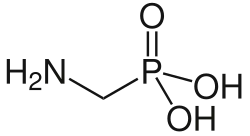 Aminomethylphosphonic acid (AMPA), the simplest possible aminophosphonate.