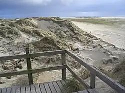 Sand dunes and beach on Amrum