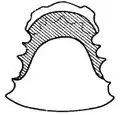 [u]-colored [l] (palatogram)