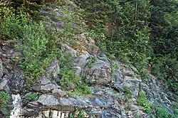 Anakeesta Formation exposure (Ocoee Supergroup) in Great Smoky Mountains National Park.