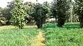 Goshala