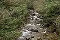 Anbo River