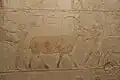 Reliefs of wildlife offerings from Akhethetep's chapel tomb