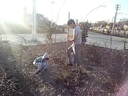 Tree planting ceremony in Persia, Tehran