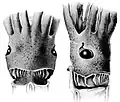 Dorsal and lateral views of head and occipital folds (145&nbsp;mm ML)