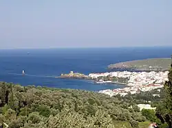 Andros town