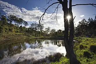 Dam at Anduramba, 2017