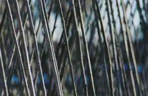 210&nbsp;mm