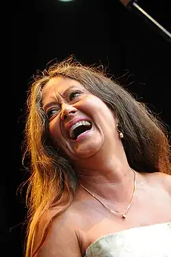 Anna-Lotta Larsson during the Stockholm Folk Festival in August 2014.