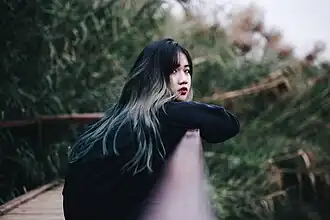 Woman with ombré hair, 2017, a coloring technique that remained popular throughout the decade.