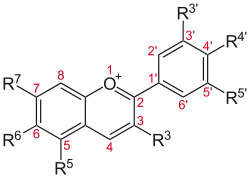 Core structure common to all anthocyanins, some of which produce the blue pigments in blueberries