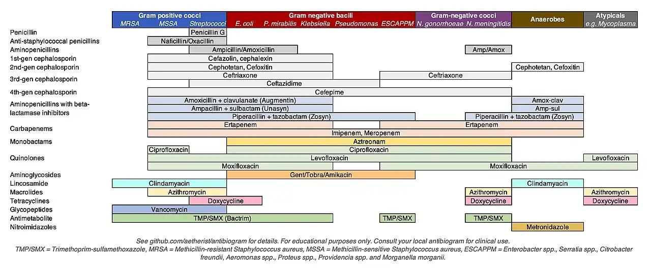 Antibiotics coverage diagram