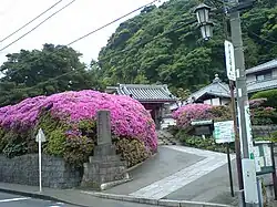 An'yo-in is noted for its rhododendrons.