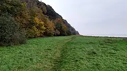 The approach to Fossil Beach in Sedbury, Gloucestershire.