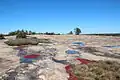 Arabia Mountain