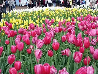Araluen Botanic Park