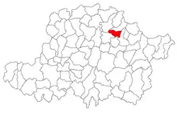Location in Arad County