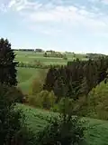 A view at the Ardennes near Stavelot