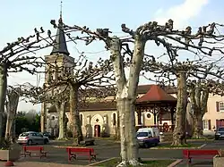 The church of Arengosse