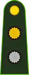 Teniente primero (Argentine Army)[12]