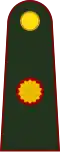 Coronel mayor (Argentine Army)[8]