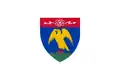 Flag of Argeș County