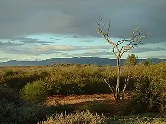 Australian Arid Lands Botanic Garden