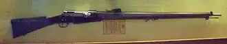 The Filipino Army considered acquiring the Mondragón rifle.
