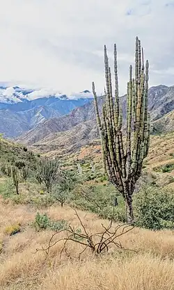 Habitat in Oxamarca, Peru