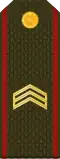 ՍԵՐԺԱՆՏ Serzhant (Armenian Ground Forces)[51]