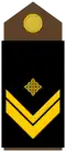 Nadnarednik (Croatian Army)[18]
