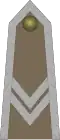 Starszy sierżant (Polish Army)[29]