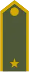 Major (Slovak Ground Forces)[79]