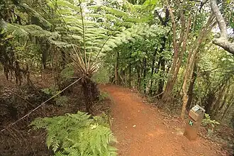 Aroha Island Ecological Centre
