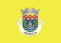 Flag of Arouca
